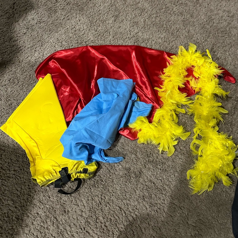 Costume accessories